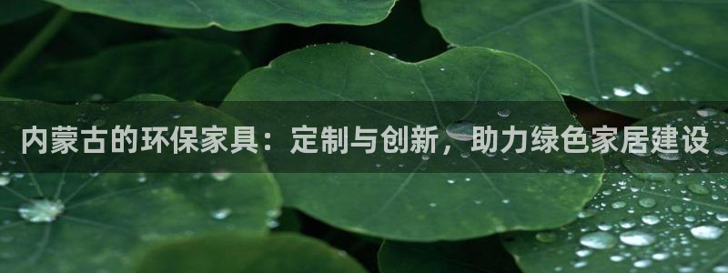 如何申请usdt钱包