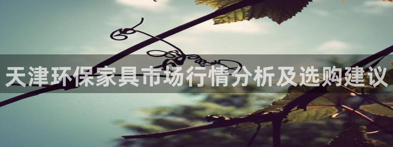 钱包地址查询usdt余额