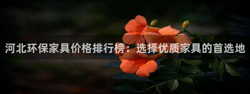usdt官网用美金怎么买：河北环保家具价格排行榜：选择优质家