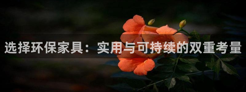 usdt账号在哪里看