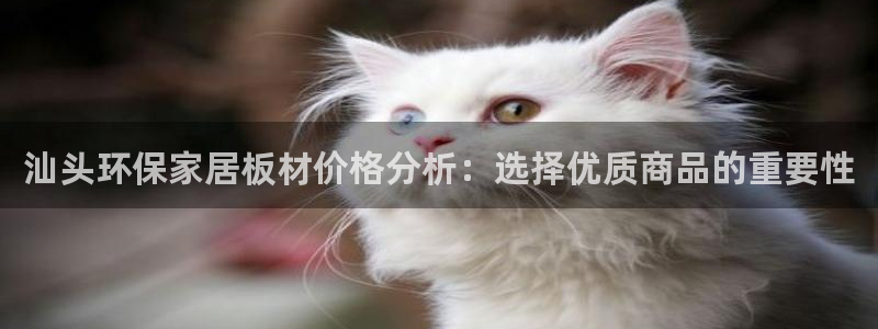 usdt中国合法吗