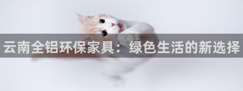 usdt地址查询去向