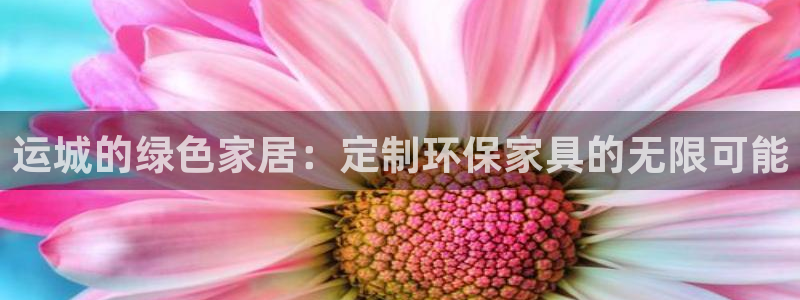usdt/rub：运城的绿色家居：定制环保家具的无限可能