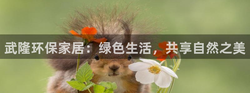 usdt 跨境赌博