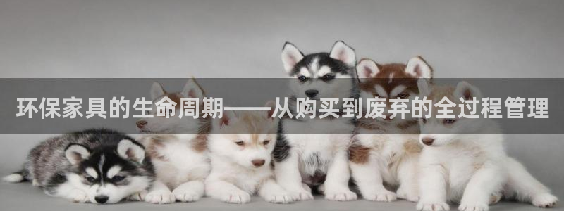 usdt官网兑换美金