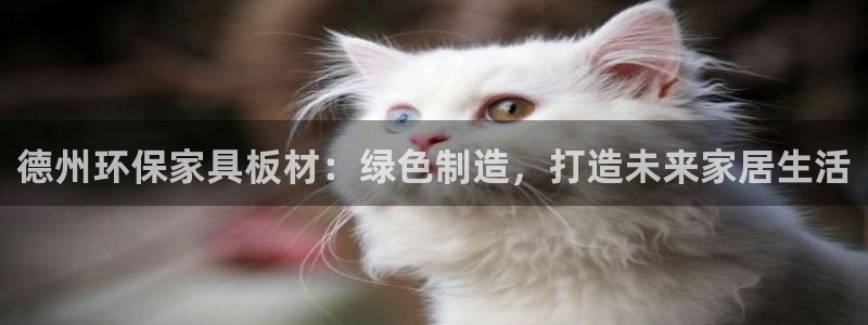 usdt钱包地址怎么弄