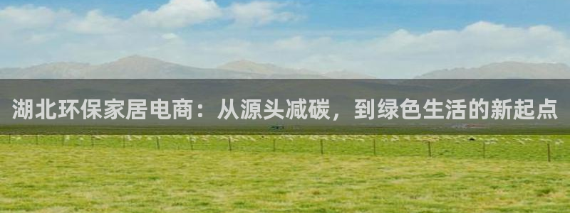 盗取usdt：湖北环保家居电商：从源头减碳，到绿色生活的新起