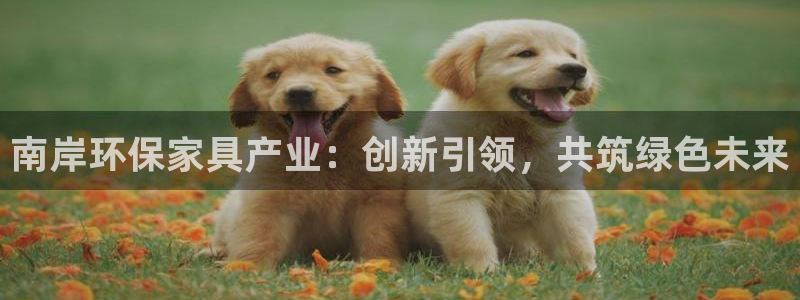 最好的usdt钱包软件下载