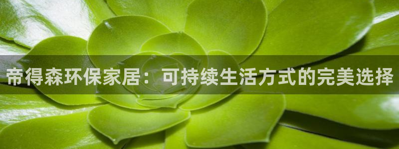usdt 数量
