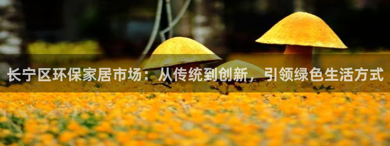 usdt怎么转出