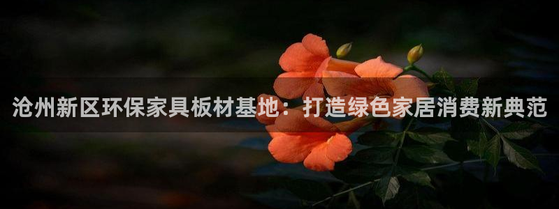 usdt 充币地址