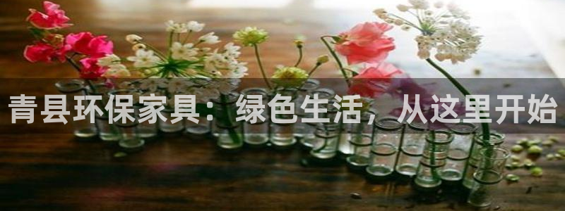 USDT交易QQ群：青县环保家具：绿色生活，从这里开始