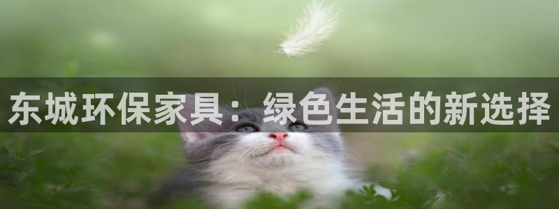 usdt官网兑换美金：东城环保家具：绿色生活的新选择