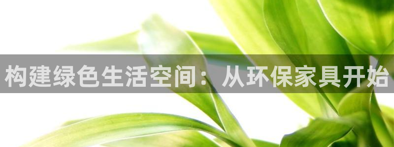 tether usdt 钱包：构建绿色生活空间：从环保家具开