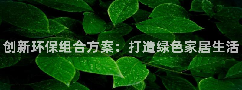 Usdt的钱包怎么转换中文