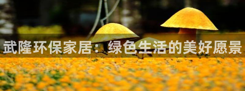 usdt钱包被冻结：武隆环保家居：绿色生活的美好愿景