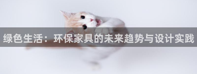 怎么查询usdt提币