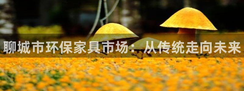 usdt钱包哪个网络费最便宜