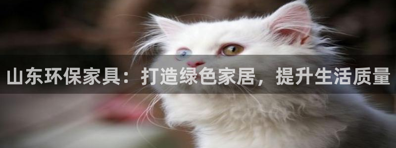 usdt地址查询交易记录：山东环保家具：打造绿色家居，提升生