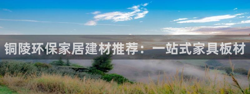 买卖usdt有手续费吗：铜陵环保家居建材推荐：一站式家具板材