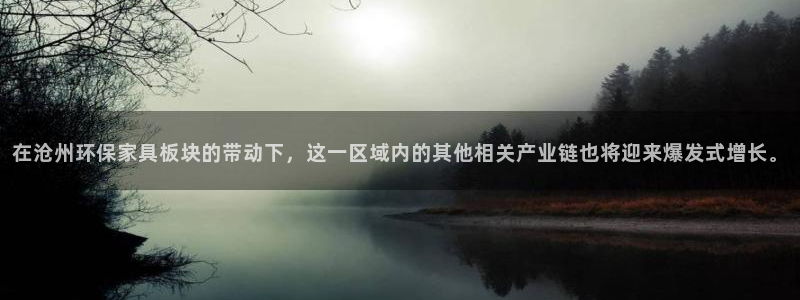 usdt钱包别名怎么填：在沧州环保家具板块的带动下，这一区域
