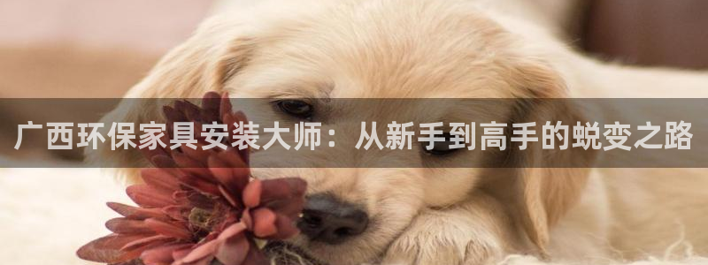 usdt怎么换平台交易