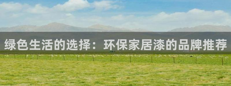 usdt钱包怎么充值：绿色生活的选择：环保家居漆的品牌推荐