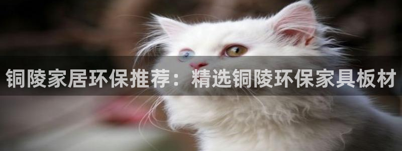 usdt钱包位置