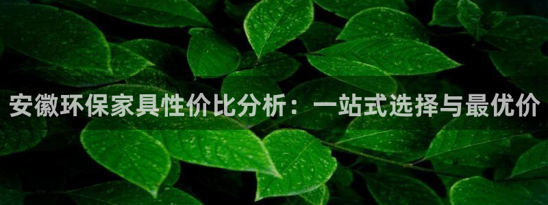 usdt如何开户：安徽环保家具性价比分析：一站式选择与最优价