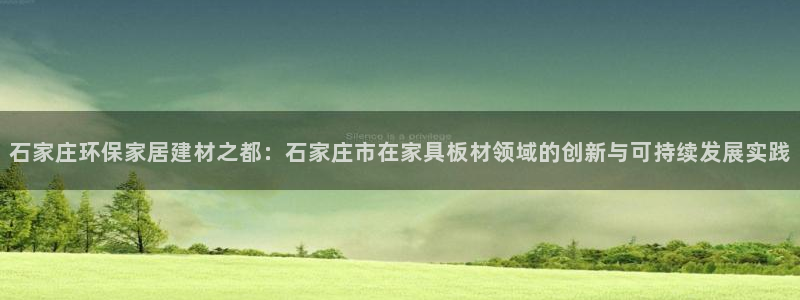usdt授权：石家庄环保家居建材之都：石家庄市在家具板材领域