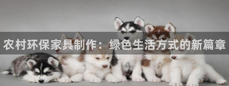 usdt的app：农村环保家具制作：绿色生活方式的新篇章