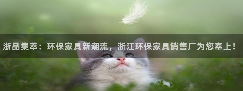 usdt代币地址：浙品集萃：环保家具新潮流，浙江环保家具销售