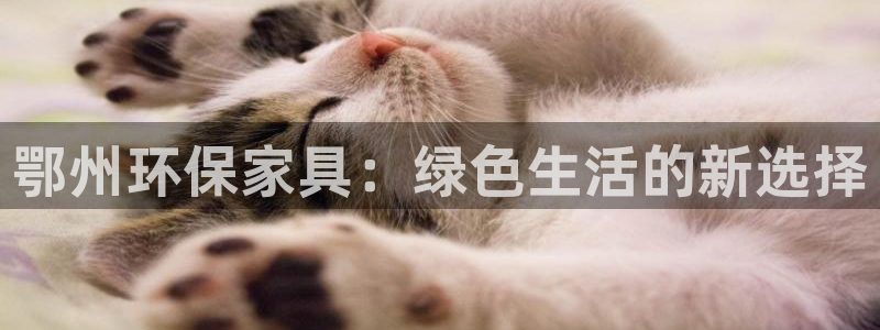 usdt钱包id怎么看
